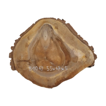 Plaster Orzecha Włoskiego 55x47x5cm