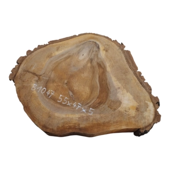 Plaster Orzecha Włoskiego 55x47x5cm