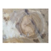 Plaster Orzecha Włoskiego 81x40x7cm