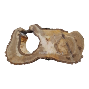 Plaster Orzecha Włoskiego 81x40x7cm