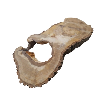 Plaster Orzecha Włoskiego 81x40x7cm