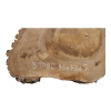 Plaster Orzecha Włoskiego 46x43x5cm