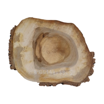 Plaster Orzecha Włoskiego 48x39x5cm