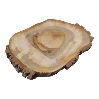 Plaster Orzecha Włoskiego 48x39x5cm