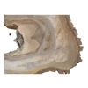 Plaster Orzecha Włoskiego 63x39x6cm