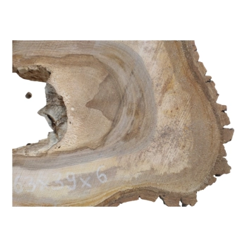 Plaster Orzecha Włoskiego 63x39x6cm