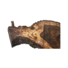 Plaster Orzecha Włoskiego 118x59x10cm