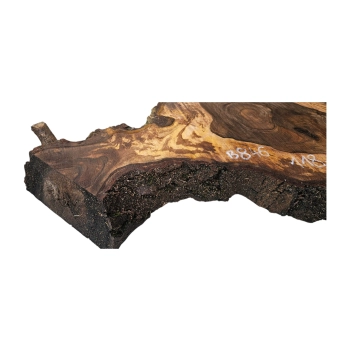 Plaster Orzecha Włoskiego 118x59x10cm