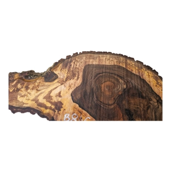 Plaster Orzecha Włoskiego 118x59x10cm