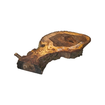 Plaster Orzecha Włoskiego 118x59x10cm