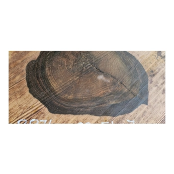 Plaster Orzecha Włoskiego 63x54x7cm