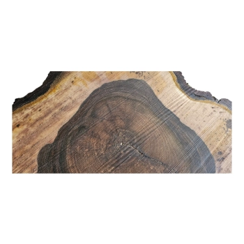 Plaster Orzecha Włoskiego 63x54x7cm