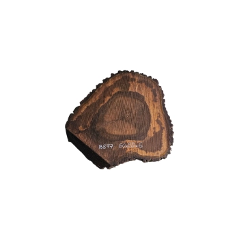 Plaster Orzecha Włoskiego 60x59x6cm w Dwóch Kawałkach