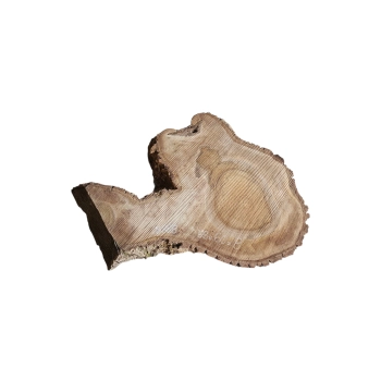 Plaster Orzecha Włoskiego 68x60x8cm