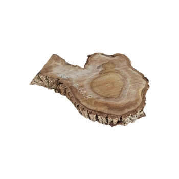 Plaster Orzecha Włoskiego 68x60x8cm