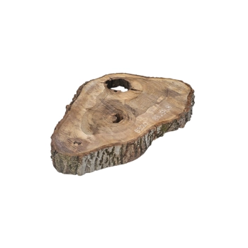 Plaster Orzecha Włoskiego 83x54x8cm