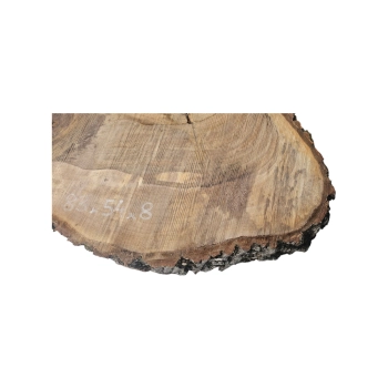 Plaster Orzecha Włoskiego 83x54x8cm