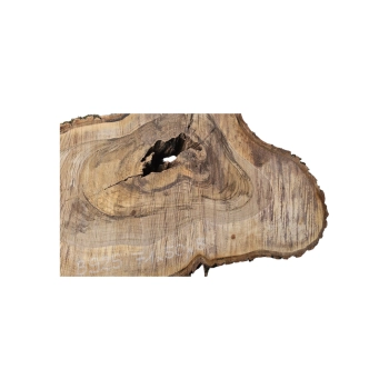 Plaster Orzecha Włoskiego 71x50x8cm
