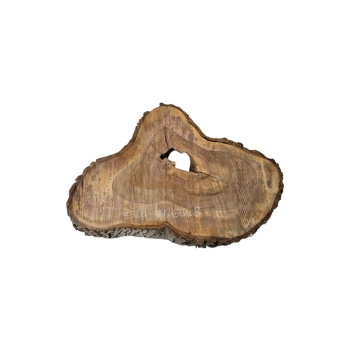 Plaster Orzecha Włoskiego 71x50x8cm