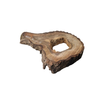 Plaster Orzecha Włoskiego 76x54x8cm