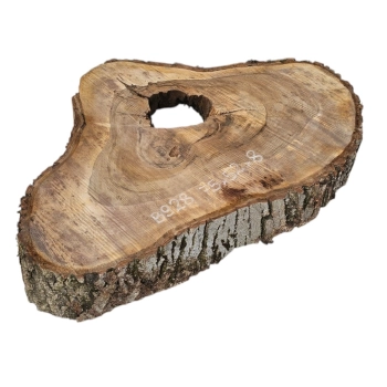 Plaster Orzecha Włoskiego 75x52x8cm