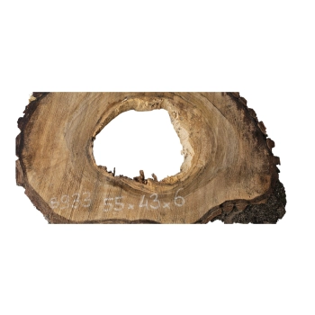 Plaster Orzecha Włoskiego 55x43x6cm
