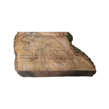 Plaster Orzecha Włoskiego 50x34x7cm