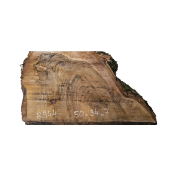 Plaster Orzecha Włoskiego 50x34x7cm