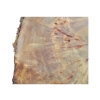 Plaster Topoli z Czeczotą 69x72x9cm