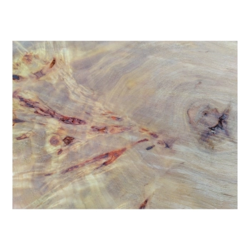 Plaster Topoli z Czeczotą 69x72x9cm