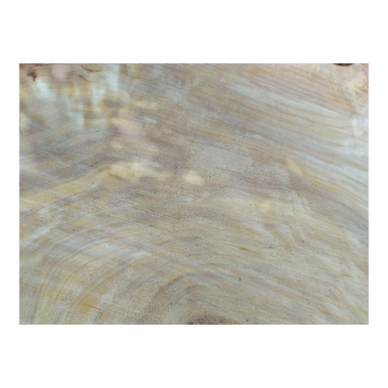 Plaster Topoli z Czeczotą 78x67x8cm