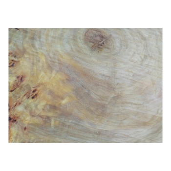Plaster Topoli z Czeczotą 78x67x8cm