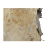 Plaster Topoli z Czeczotą 78x76x8cm