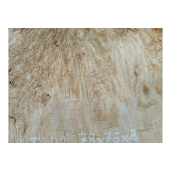Plaster Topoli z Czeczotą 78x76x8cm