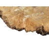 Plaster Topoli z Czeczotą 92x70x8cm