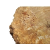 Plaster Topoli z Czeczotą 92x70x8cm