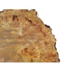 Plaster Topoli z Czeczotą 92x70x8cm