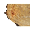 Plaster Topoli z Czeczotą 77x68x10cm