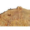 Plaster Topoli z Czeczotą 77x68x10cm