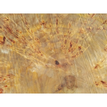 Plaster Topoli z Czeczotą 77x68x10cm