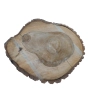 Plaster Orzecha Włoskiego 57x43x5cm