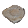 Plaster Orzecha Włoskiego 55x47x5cm