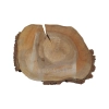 Plaster Orzecha Włoskiego 48x39x5cm