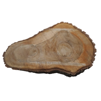 Plaster Orzecha Włoskiego 77x50x7cm