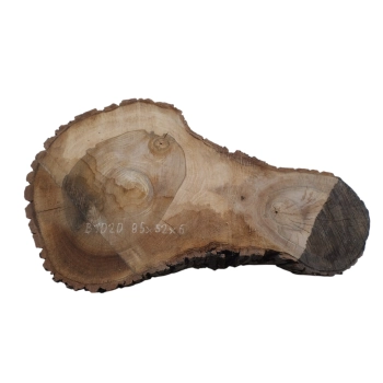 Plaster Orzecha Włoskiego 85x52x6cm