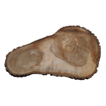 Plaster Orzecha Włoskiego 80x48x7cm