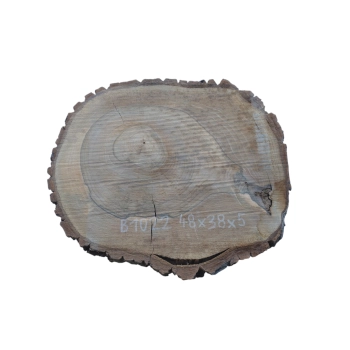 Plaster Orzecha Włoskiego 48x38x5cm