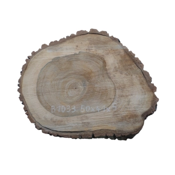 Plaster Orzecha Włoskiego 50x41x5cm
