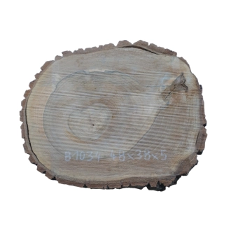 Plaster Orzecha Włoskiego 48x38x5cm