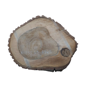 Plaster Orzecha Włoskiego 53x43x5cm